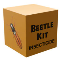 Beetle Kit