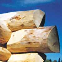Log Home End Grain Sealers