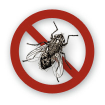 Cluster Buster Fly Trap