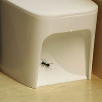 EliminAnt Ant Trap