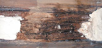 E-Wood shown over M-Balm