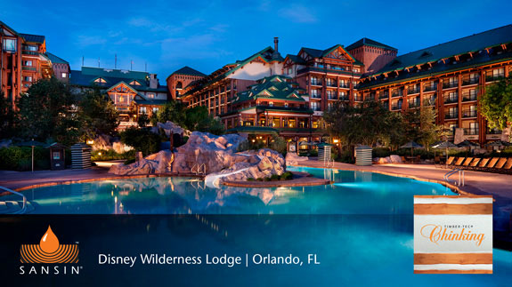 Sansin Timber-Tec Chinking Sansin Timber-Tec Chinking Used At Disney Wilderness Lodge