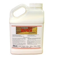 Wood ReNew 1-gal