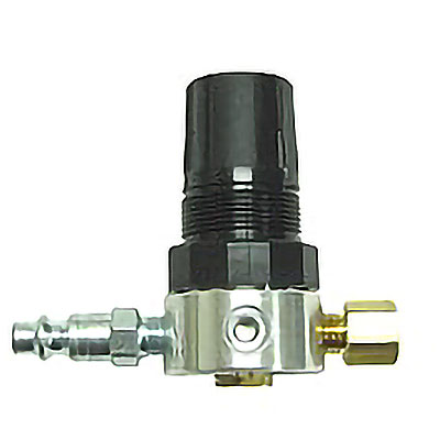Albion Regulator with Quick Disconnect