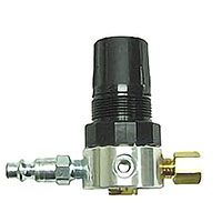 Albion Regulator with Quick Disconnect