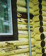 Log Home restoration for painted logs